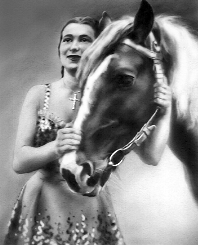 Portrait de cheval au crinière blanche avec une femme.