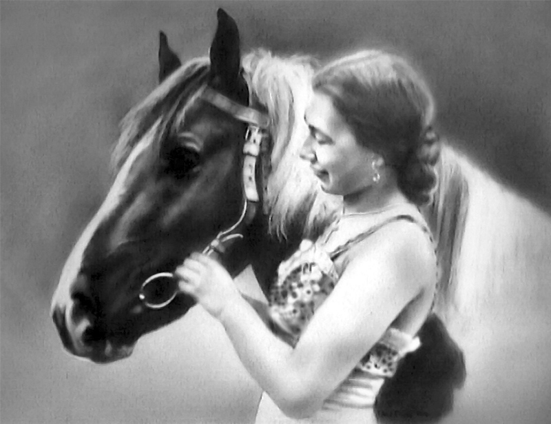Portrait de cheval bicolore au crinière blanche avec une femme.